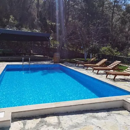 Hemithea * Muğla